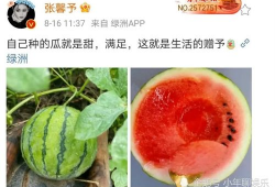 最近娱乐圈有什么瓜可吃,揭秘明星幕后故事与热点事件