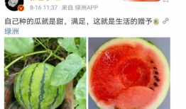 2020年娱乐圈吃瓜,瓜田李下，明星们的年度大揭秘
