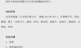 中考生物实验操作视频,揭秘实验步骤与技巧