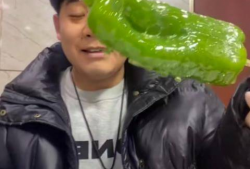 网红吃瓜爆料秃崽,秃崽秃顶之谜，真相竟如此惊人！
